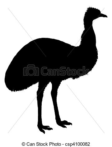 Emu Illustrations and Clip Art. 554 Emu royalty free illustrations.