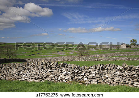 Stock Image of England, Derbyshire, Litton, Field enclosures and.