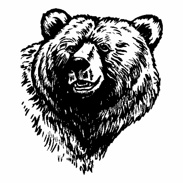 Bear Animal Material, Bear, Conservation Animals, Endangered Animals.