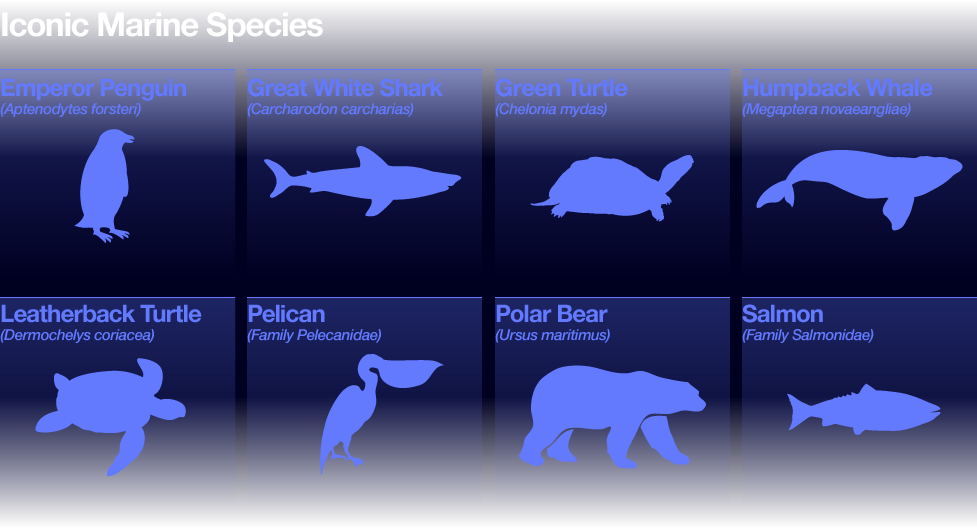 Iconic Species : Ocean Health Index.