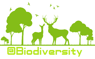 Introducing @biodiversity. A blog about endangered and.