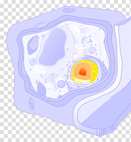 Plants Background, Plant Cell, Cell Wall, Cell Membrane.