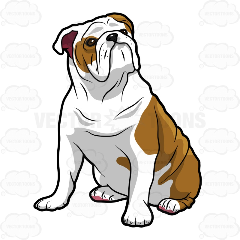 british bulldog clipart 20 free Cliparts | Download images on