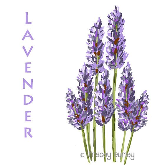 1000+ images about Lavender Clip Art on Pinterest.