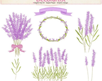 English lavender clipart 20 free Cliparts | Download images on ...