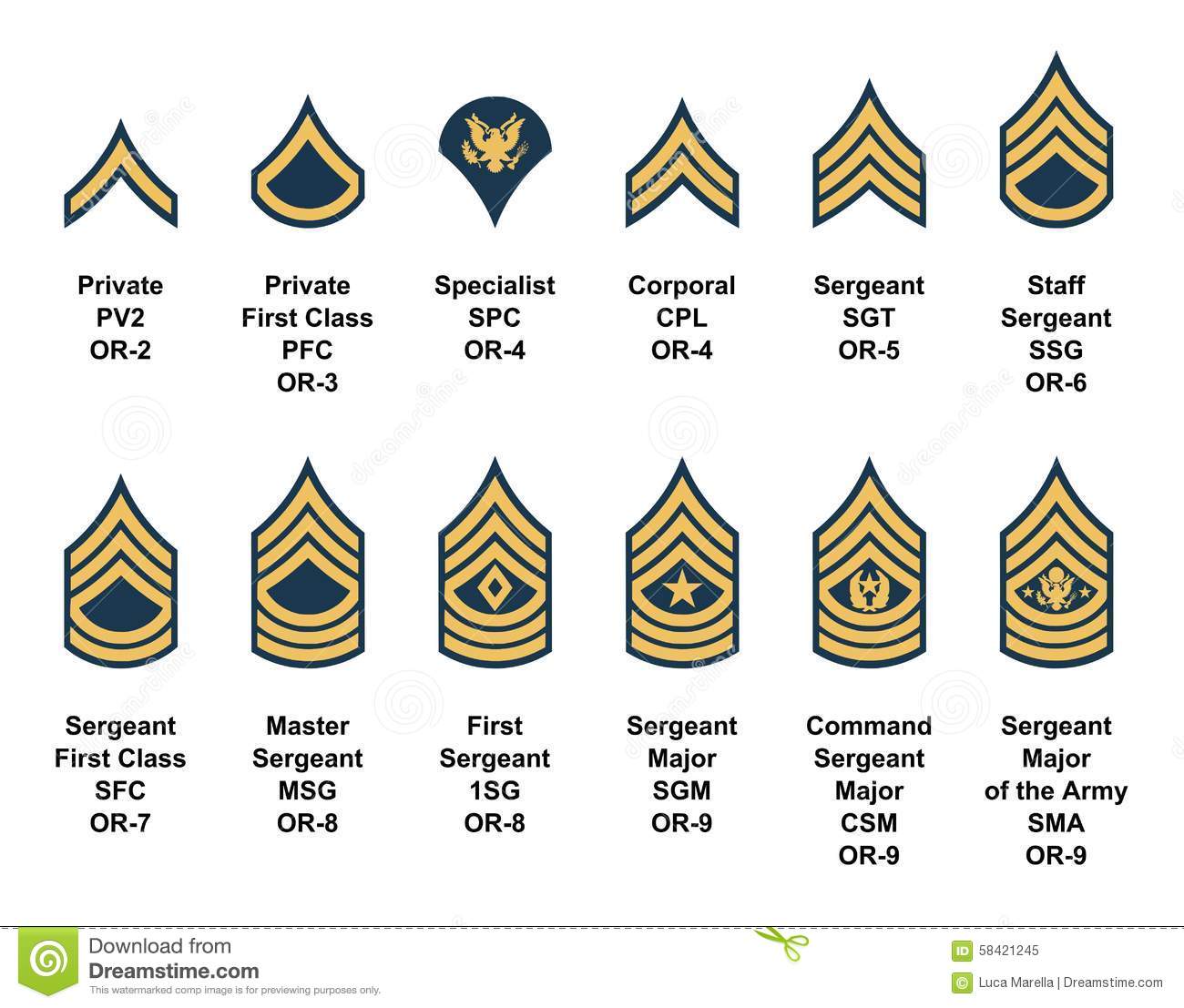 Army enlisted ranks clipart.