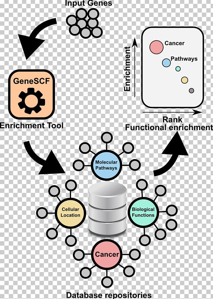Gene Set Enrichment Analysis Gene Ontology DAVID RNA.