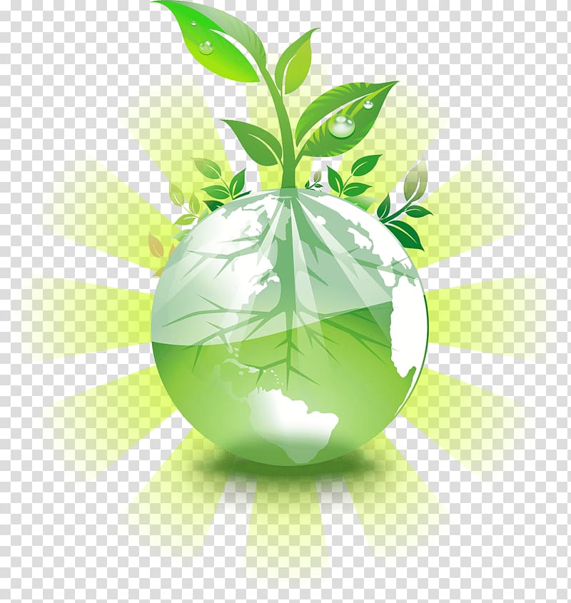 Plant sprout , Earth Natural environment Environmental.