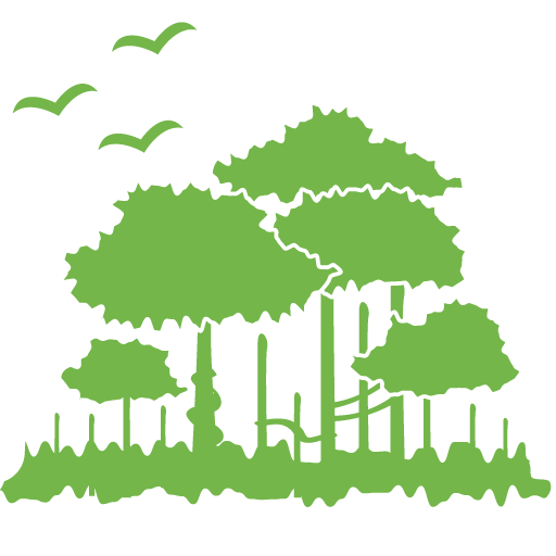 Download Environment PNG Picture.