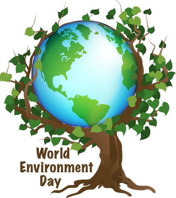 1000+ ideas about Environment Day on Pinterest.