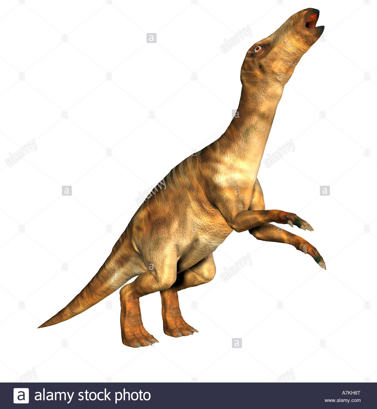 Iguanodon Dinosaur Stock Photo, Royalty Free Image: 11863007.