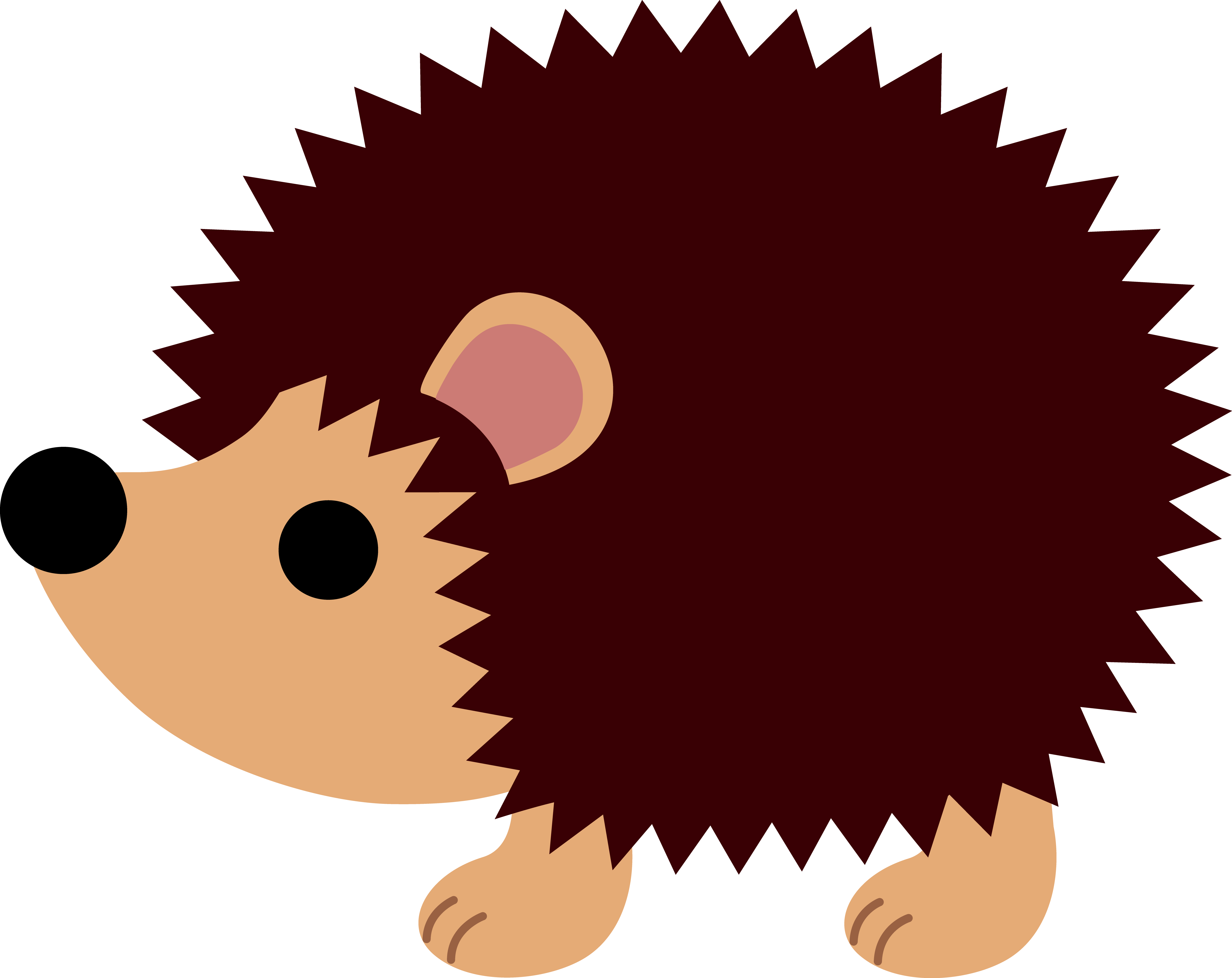 Little Brown Hedgehog.