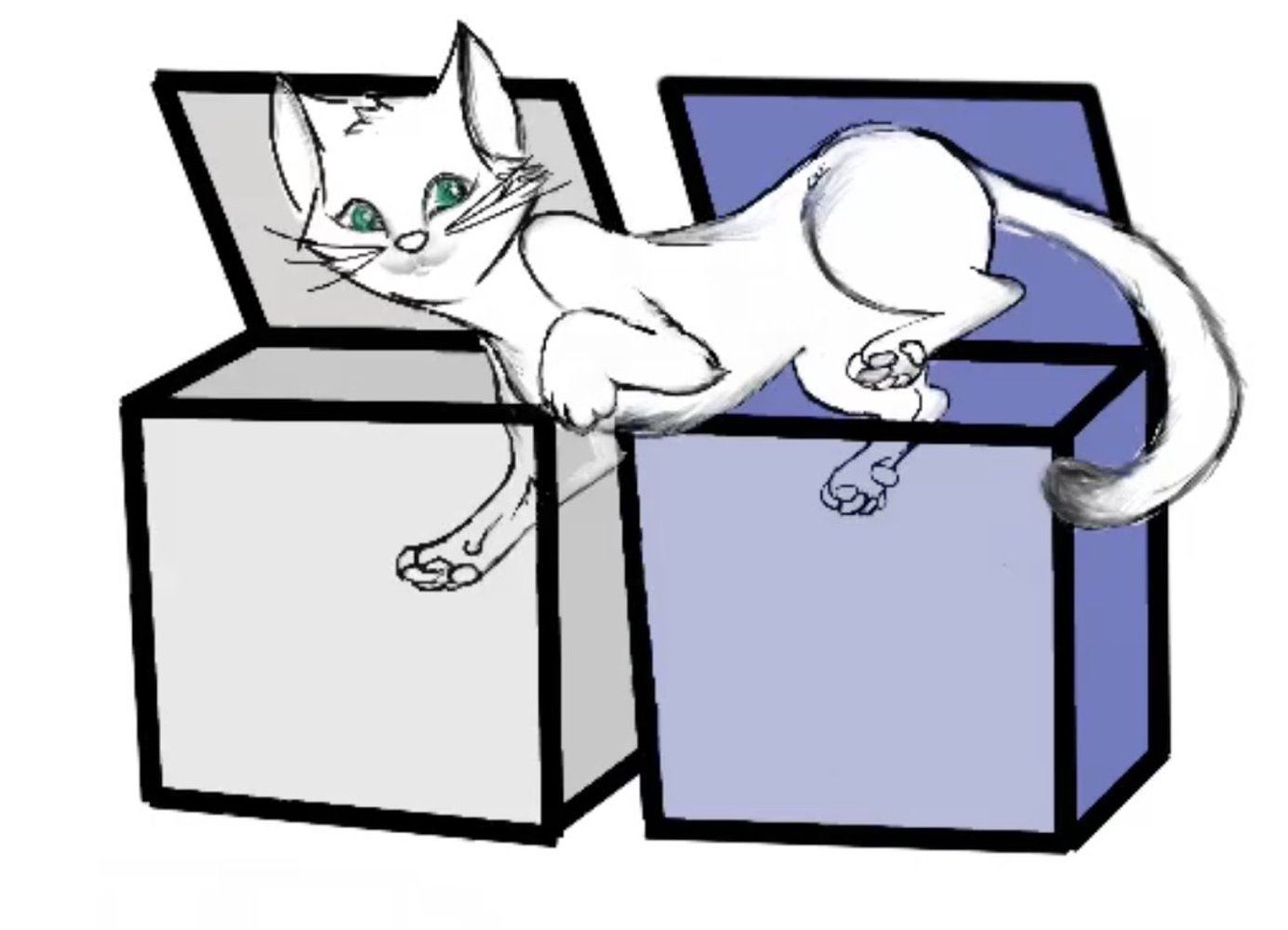 Dead or Alive, Schrödinger's Cat Can Be in 2 Boxes at Once.