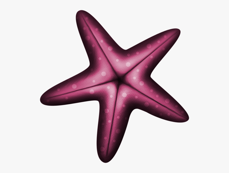 Starfish, Clip Art, Pictures.