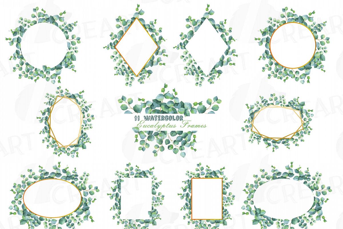Eucalyptus frames watercolor clip art pack, Eucalyptus leaves design  borders. PNG, jpg, svg, vector illustrator & corel files included.
