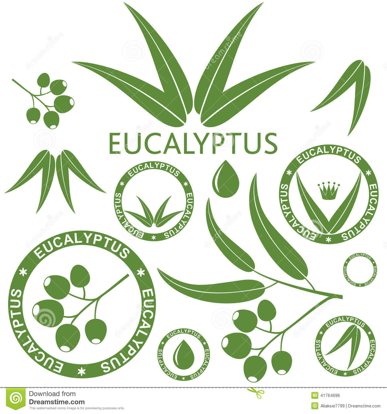 Eucalyptus Stock Illustrations.