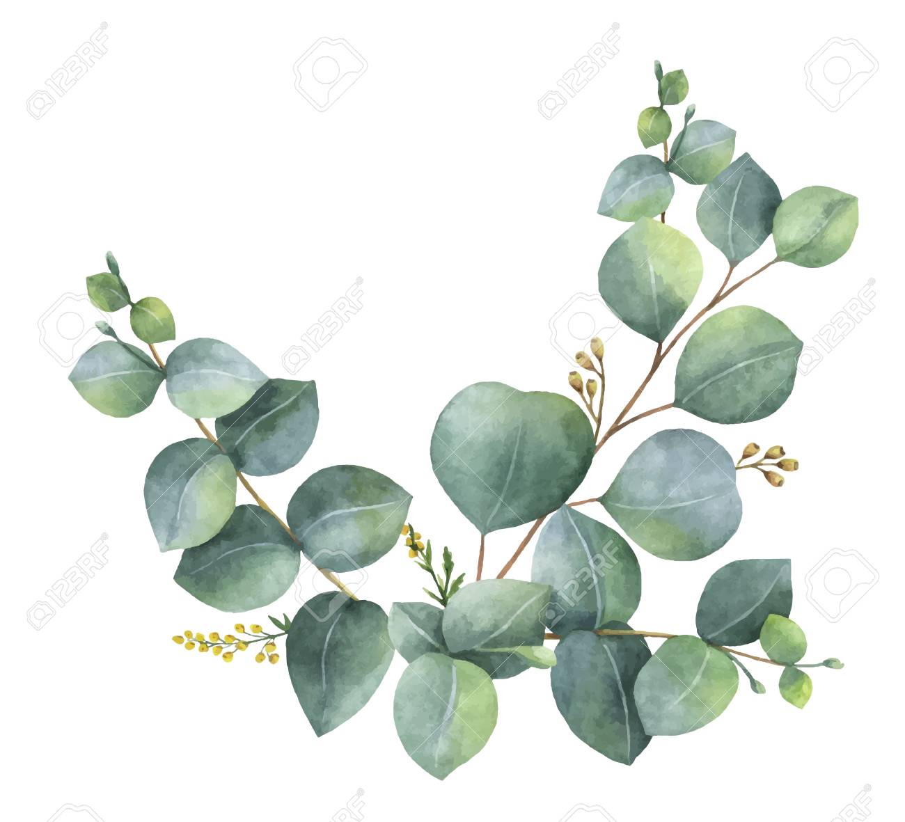 eucalyptus-clipart-free-10-free-cliparts-download-images-on