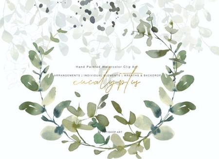 Watercolor Eucalyptus Clipart Collection 1505797.