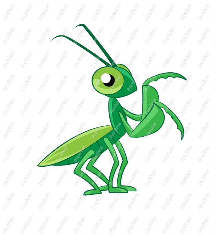 Praying mantis clipart 20 free Cliparts | Download images on Clipground