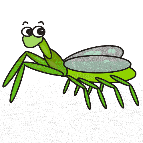 Praying mantis clipart.