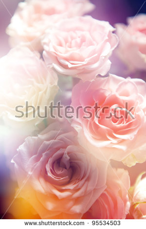 Yellow color rose free stock photos download (10,654 Free stock.
