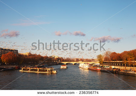 Seine River Stock Photos, Royalty.