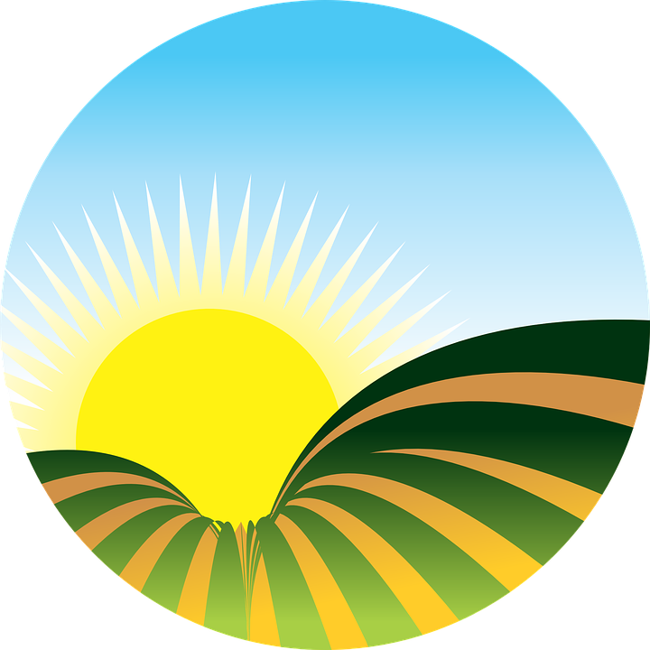 Free vector graphic: Sol, Farm, Plantation, Sunset.