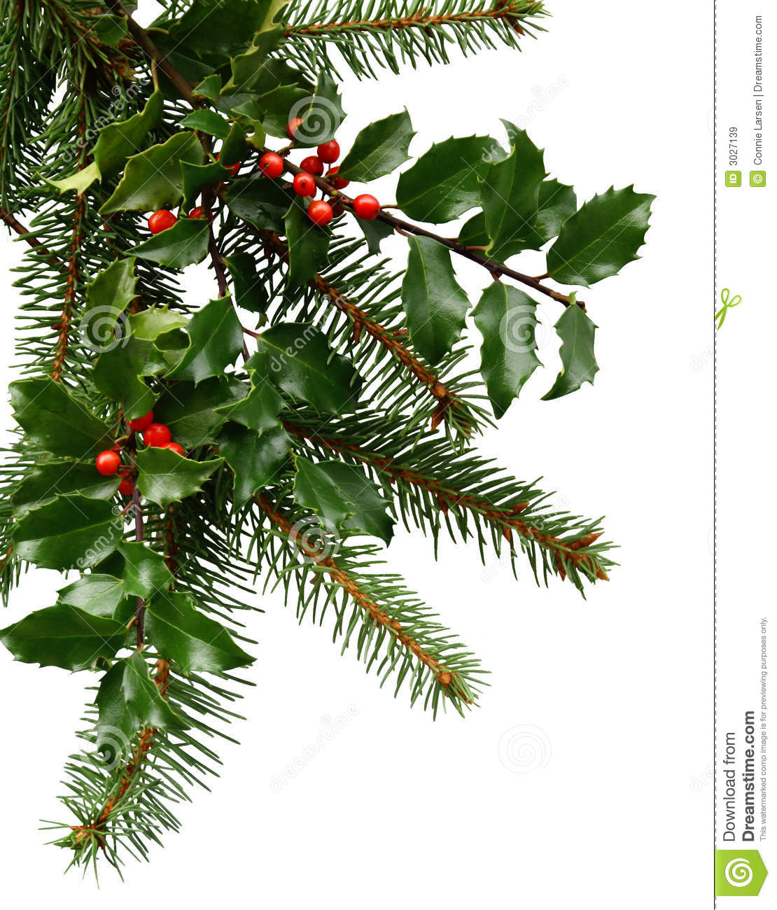 Evergreen boughs clipart 20 free Cliparts | Download images on