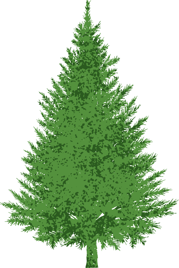 Evergreen Tree Clipart.