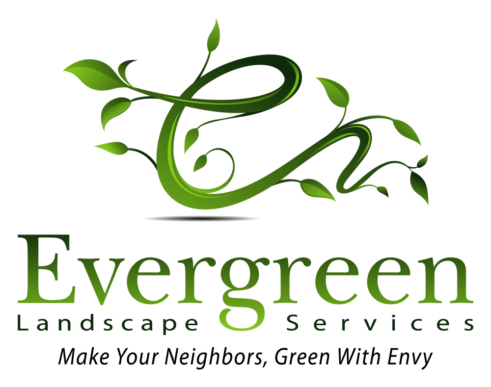 Evergreen. Evergreen логотип. Логотипы для бизнеса ландшафта. Ландшафтный дизайн логотип. Organic logo зеленый.