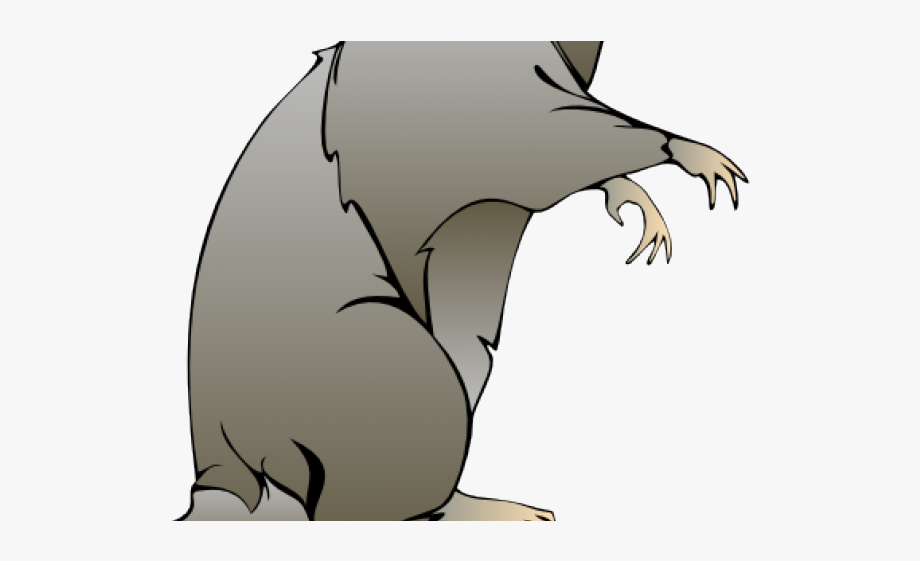 evil rat clipart 10 free Cliparts | Download images on Clipground 2024