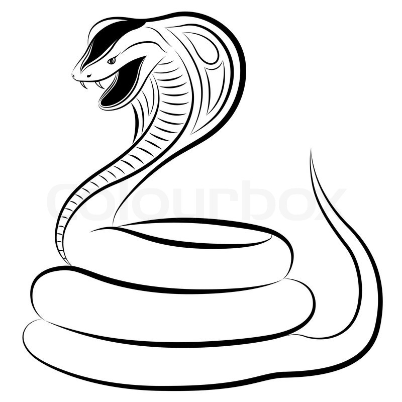 Snake, Cobra.