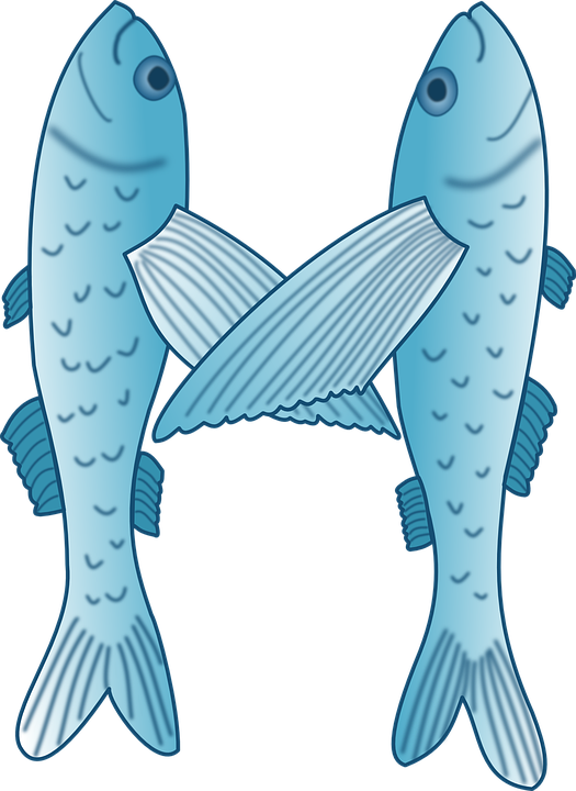 Free vector graphic: Flying Fish, Fish, Exocoetidae.