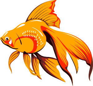 Golden Fish Clip Art at Clker.com.