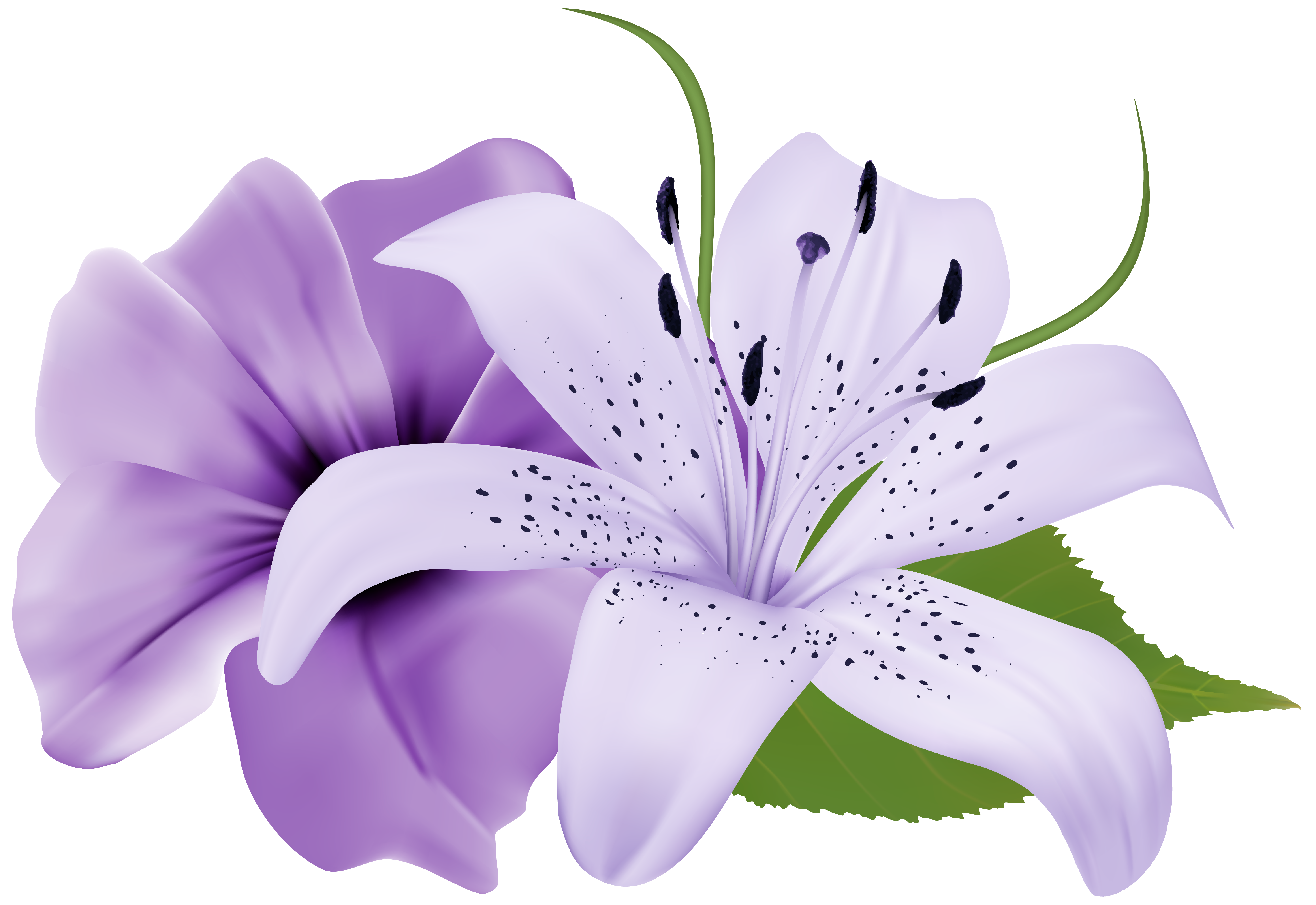 purple clipart flowers 20 free Cliparts | Download images on Clipground