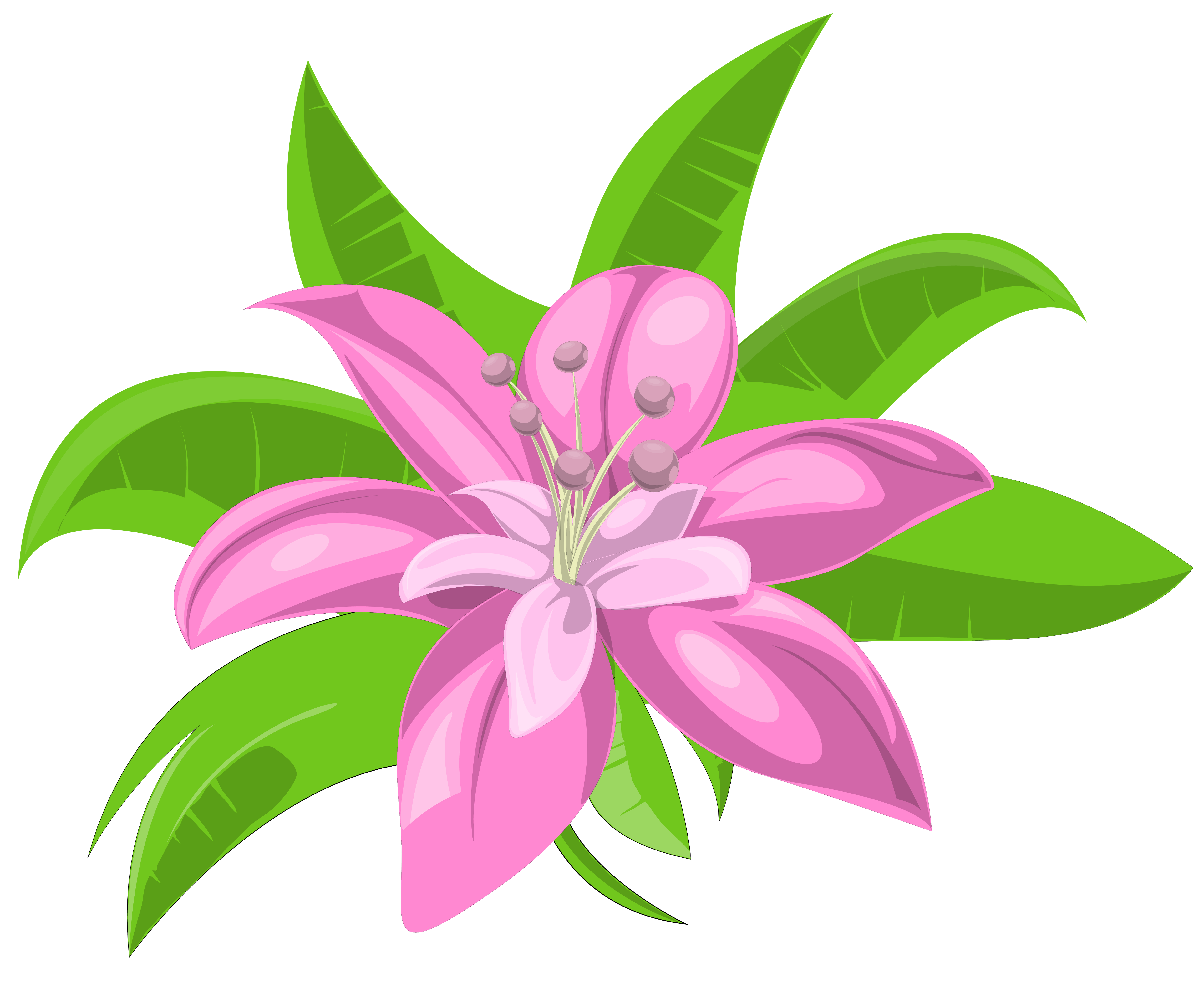 Pink Exotic Flower PNG Image.