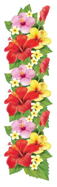 Exotic Flowers Decoration PNG Clipart.