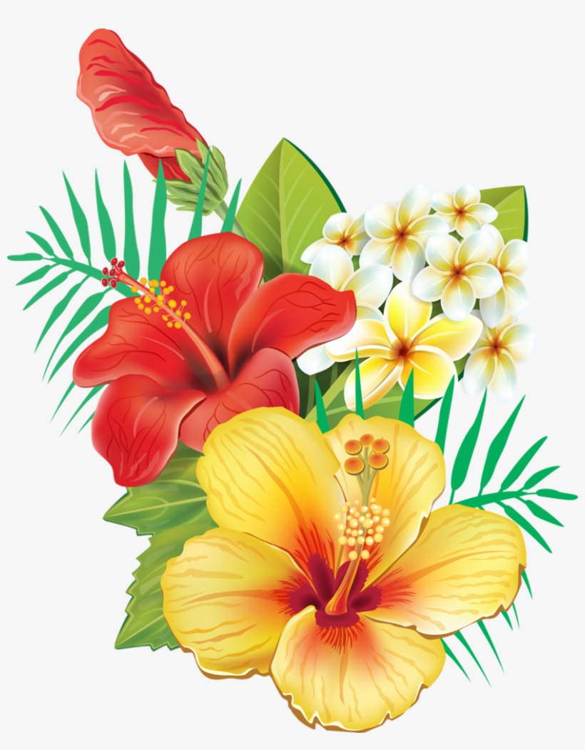 Tropical Flowers Png.