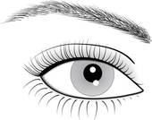 Eye lids clipart 20 free Cliparts | Download images on Clipground 2024