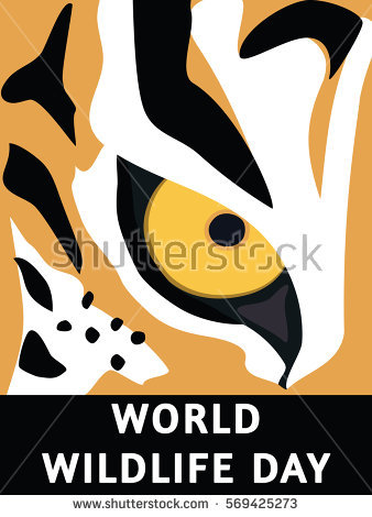 Tiger Eye Vector Stock Vector 145217152.