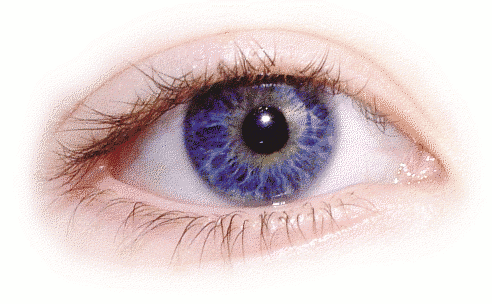 Eye PNG Transparent Eye.PNG Images..