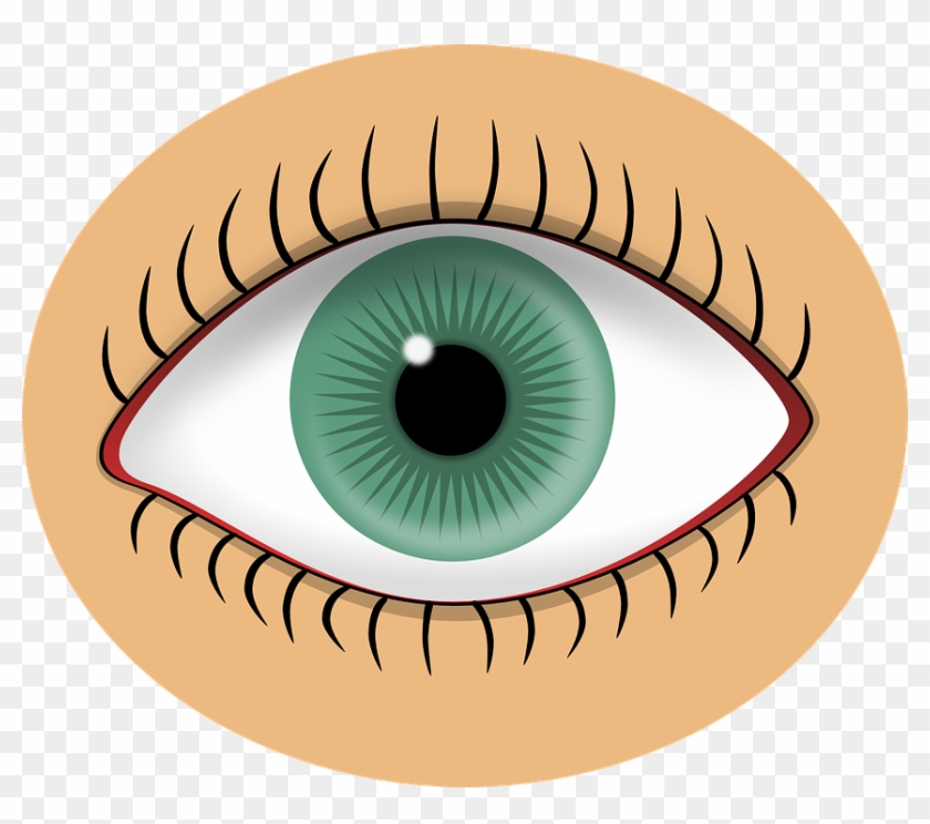 Eyeball Clipart Sight Senses.