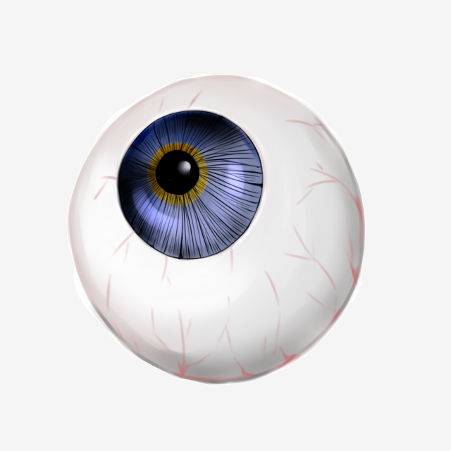 Human Organ Eyeball Illustration, Human Organ Eyeball, Blue Eyeball.