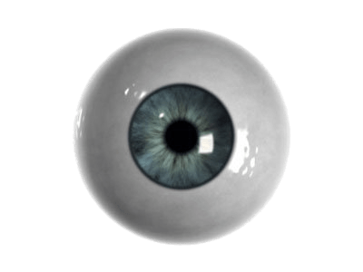 eyeball png 10 free Cliparts | Download images on Clipground 2023