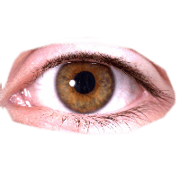 Download Eye Free PNG photo images and clipart.