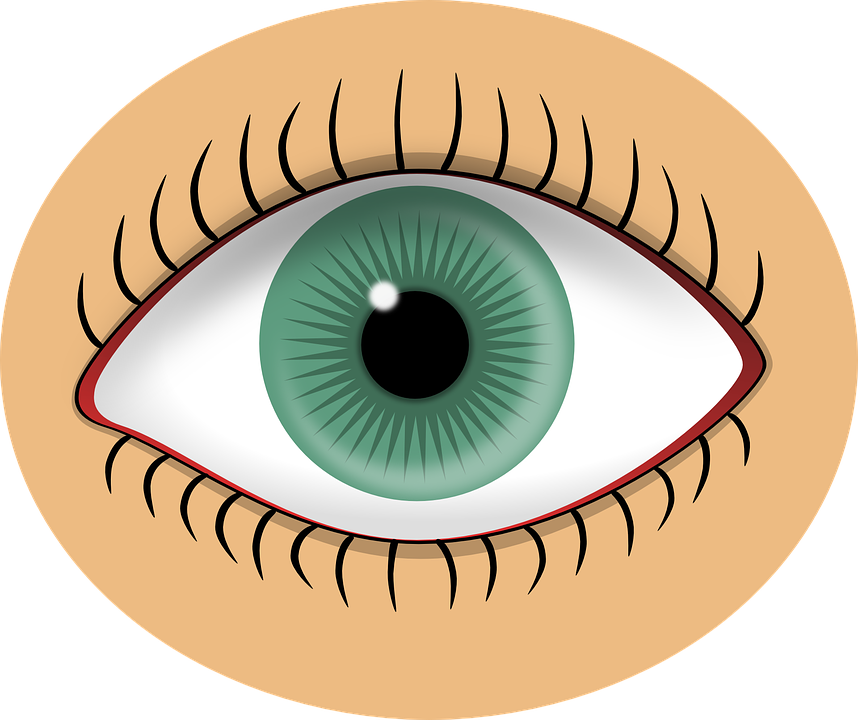 Free vector graphic: Eye, Green, Pupil, Human, Sight.