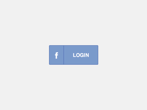 Facebook Login Button.