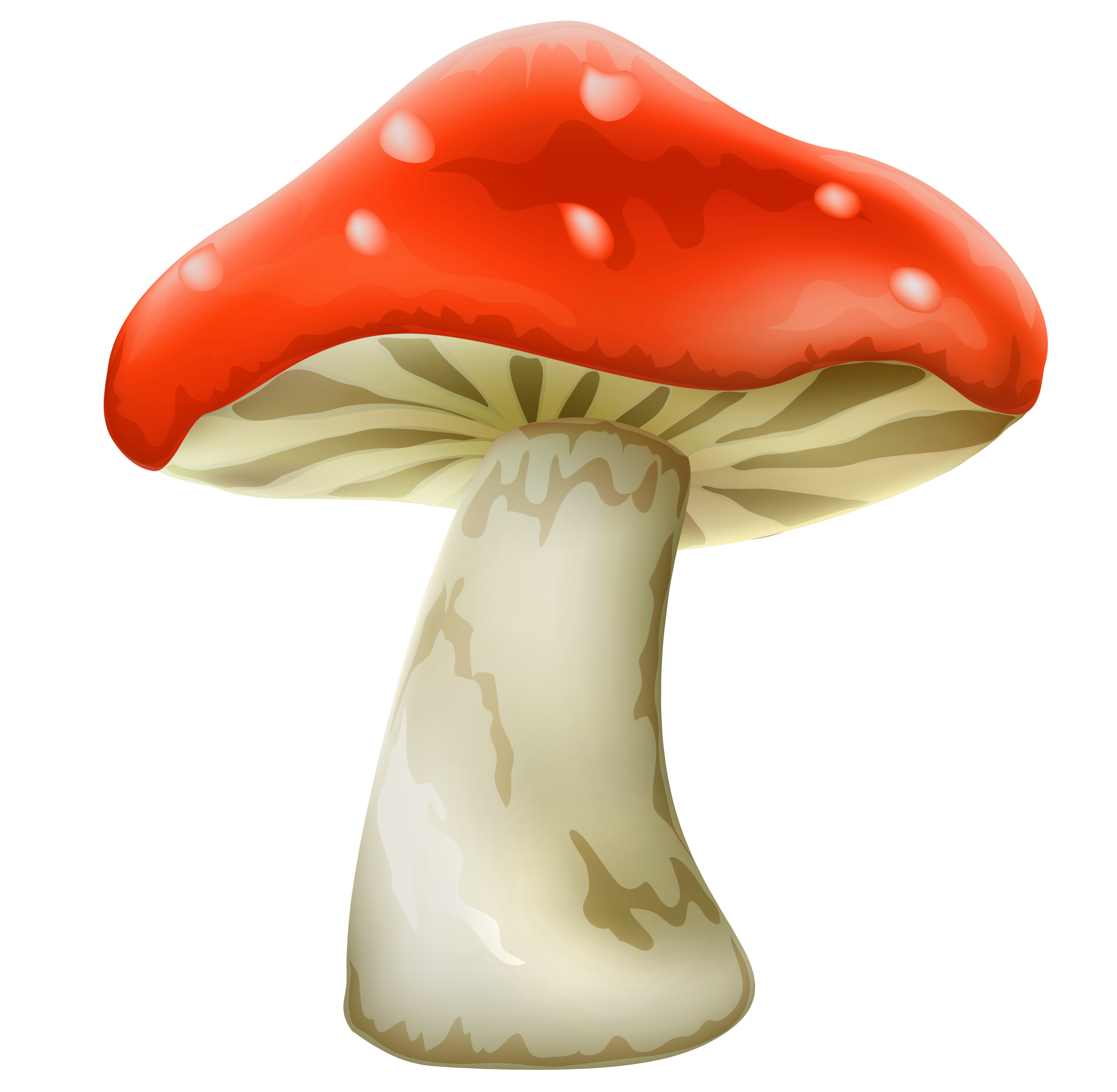 Fairy clipart toadstool, Fairy toadstool Transparent FREE.