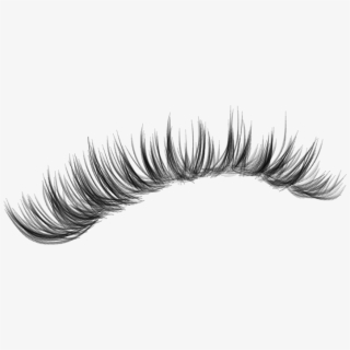 fake lashes clipart 10 free Cliparts | Download images on Clipground 2023