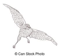 Falco peregrinus Clipart Vector and Illustration. 5 Falco.
